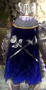 Guild Templar Of The Dark Rose cape.jpg