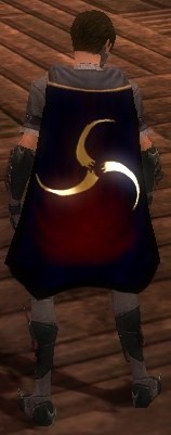 File:Guild The Incredible Cupcakes cape.jpg