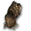 Dusty Insect Carapace.png