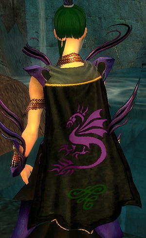 File:Guild Through The Eyes Of The Dragon cape.jpg