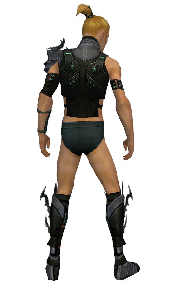 File:Assassin Elite Luxon armor m gray back chest feet.png