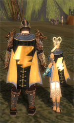 File:Guild Soldiers of Thunderstorm cape.jpg