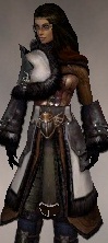 File:Screenshot Ranger Norn armor f dyed Brown.jpg