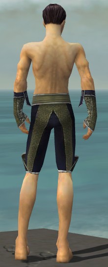 File:Elementalist Canthan armor m gray back arms legs.jpg