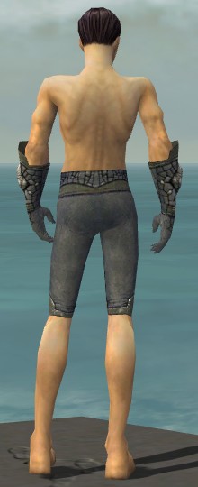 File:Elementalist Stoneforged armor m gray back arms legs.jpg