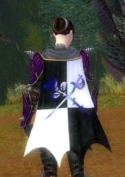 File:Guild Keepers Of Odd Knowledge cape.jpg