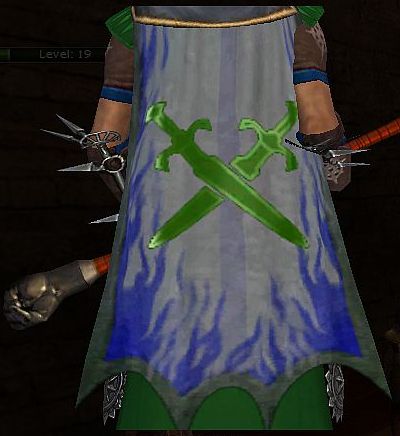 File:Guild Kings Of The Night Ryder cape.jpg