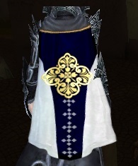 File:Guild Costumed Aggression cape.jpg