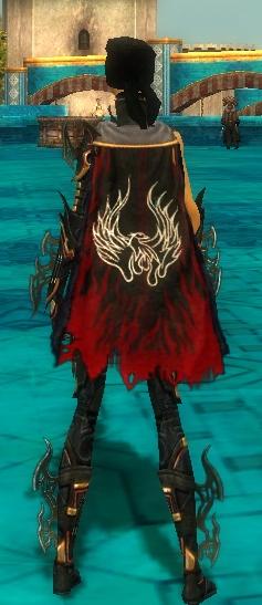 File:Guild The Mystery God Knights cape.jpg