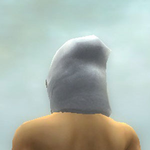 File:Augur of Kormir costume m white back head.jpg