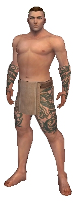 File:Monk Dragon armor m gray front arms legs.jpg