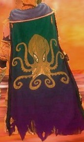 File:Guild The Octopus Ninjas cape.jpg