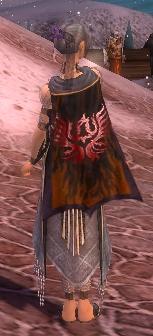 File:Guild Flames Of Rebellion cape.jpg