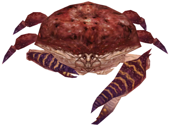 File:Small Crab.jpg