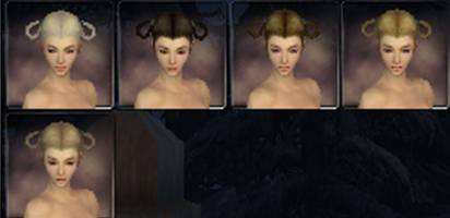File:Monk factions hair color f.jpg