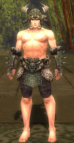 File:Warrior Elite Charr Hide armor m gray front arms legs.jpg