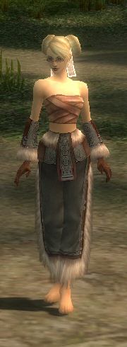 File:Monk Norn armor f gray front arms legs.jpg