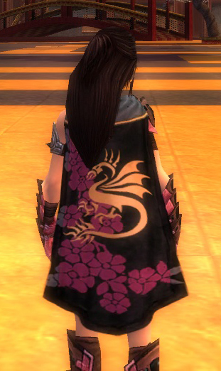 File:Guild Dragons Of The Rose cape.jpg