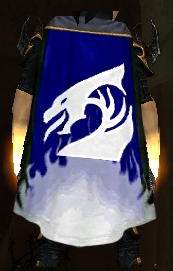 File:Guild Dragons Of The Winter cape.jpg