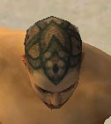 File:Monk Elite Luxon armor m dyed top head.jpg