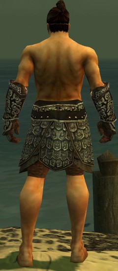 File:Warrior Canthan armor m gray back arms legs.jpg