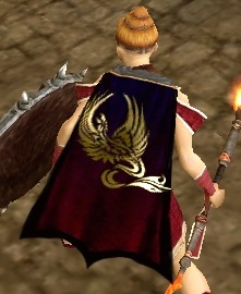 File:Guild Shadow Of The Corrupted Kings cape.jpg