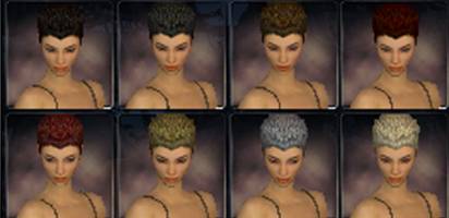 File:Warrior factions hair color f.jpg