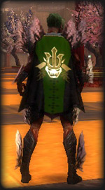 Guild The Elite Lords Of Chaos cape.jpg