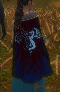 File:Guild Scourge Of The City cape.jpg