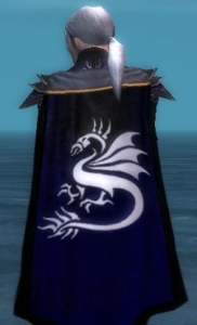 File:Guild Forever Knights cape.jpg