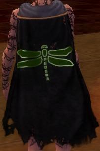 File:Guild League Of The First War cape.jpg