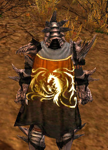 File:Guild Celestial Knights Of The Rose cape.jpg
