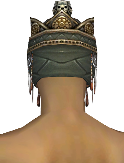 File:Ritualist Elite Imperial armor m gray back head.jpg