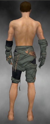 File:Ritualist Ancient armor m gray back arms legs.jpg