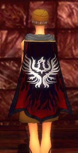 File:Guild Call Of Honour cape.jpg