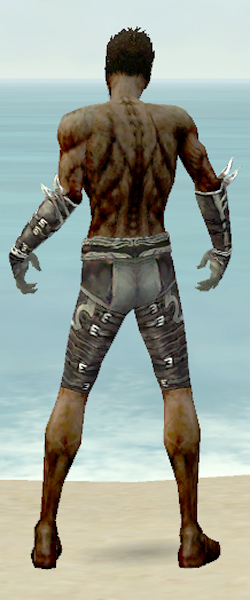 File:Necromancer Shing Jea armor m gray back arms legs.jpg