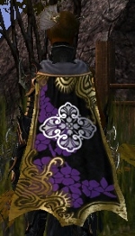 Guild Heart Of Ashes And Dust cape.jpg