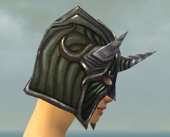 File:Warrior Wyvern armor f gray right head.jpg