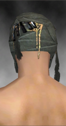 File:Ritualist Ancient armor m gray back head.jpg