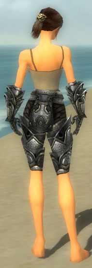 File:Warrior Obsidian armor f gray back arms legs.jpg