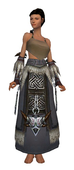 File:Dervish Norn armor f gray front arms legs.png