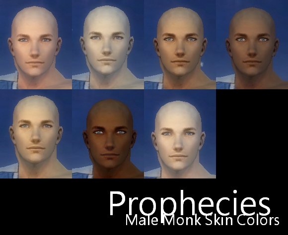 File:Prophecies Male Monk Skin Colors.JPG