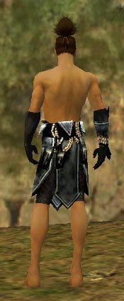 File:Ritualist Kurzick armor m gray back arms legs.jpg
