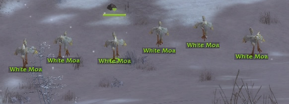 White Moa flock.jpg