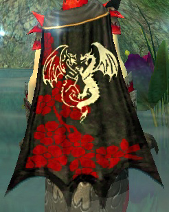 File:Guild Charmed By Dragons cape.jpg
