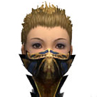 File:Assassin Elite Exotic Mask f.jpg