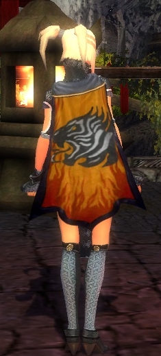 File:Guild Fire Kittys cape.jpg