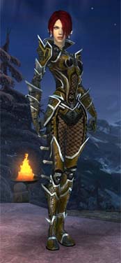 File:User Lady Elyssa Necromancer Elite Kurzick Armor.jpg