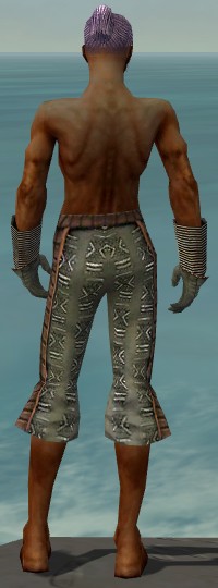 File:Elementalist Istani armor m gray back arms legs.jpg