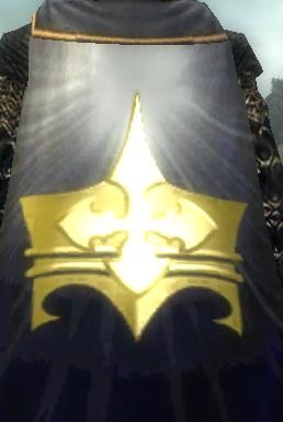 File:Guild The Entity Of Royal King cape.jpg